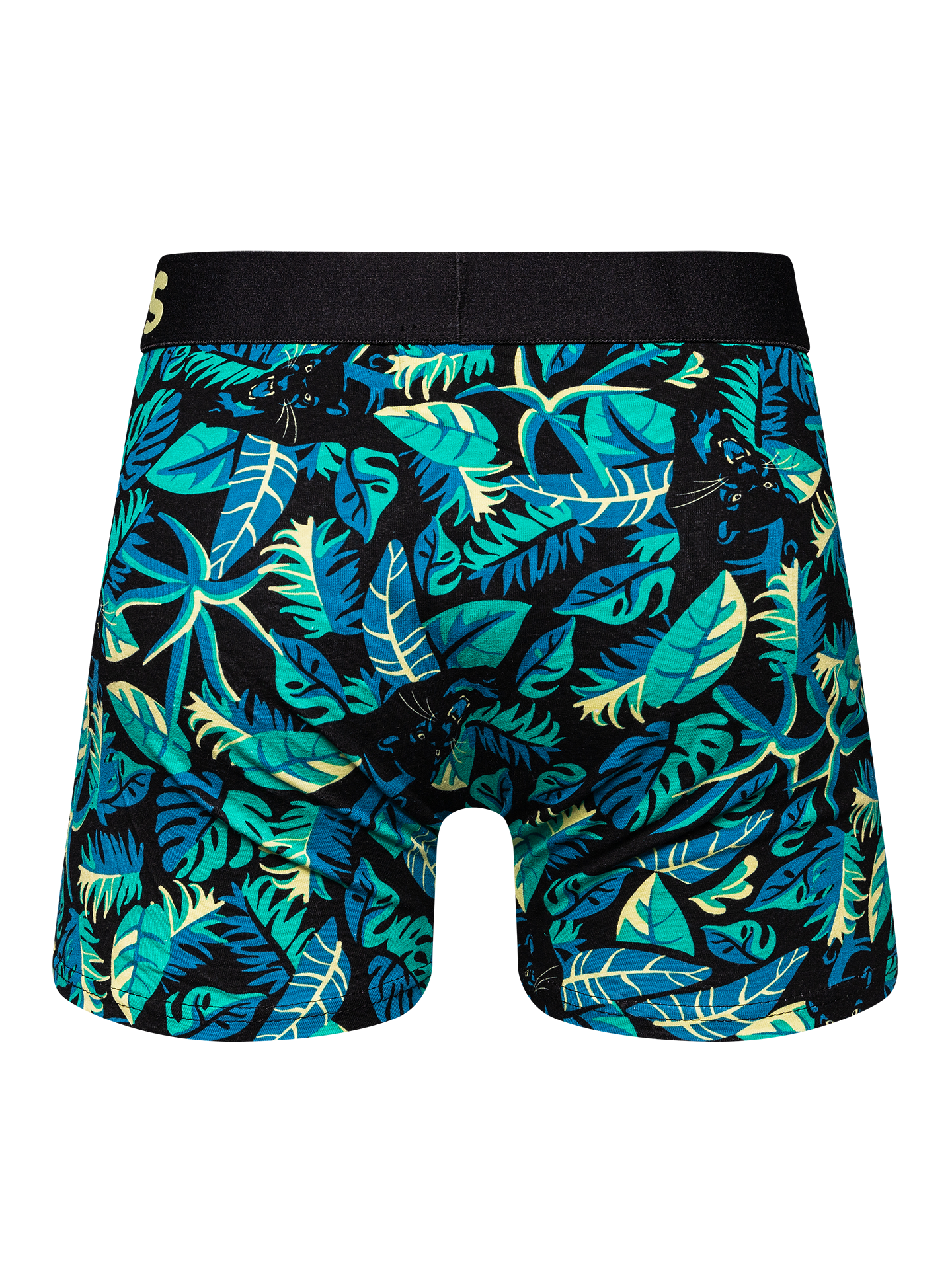 Men's Trunks Night Panther