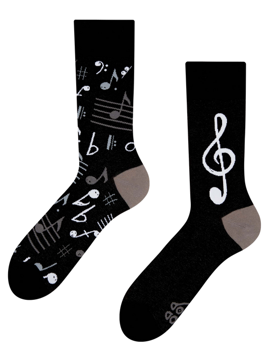 Regular Socks Music