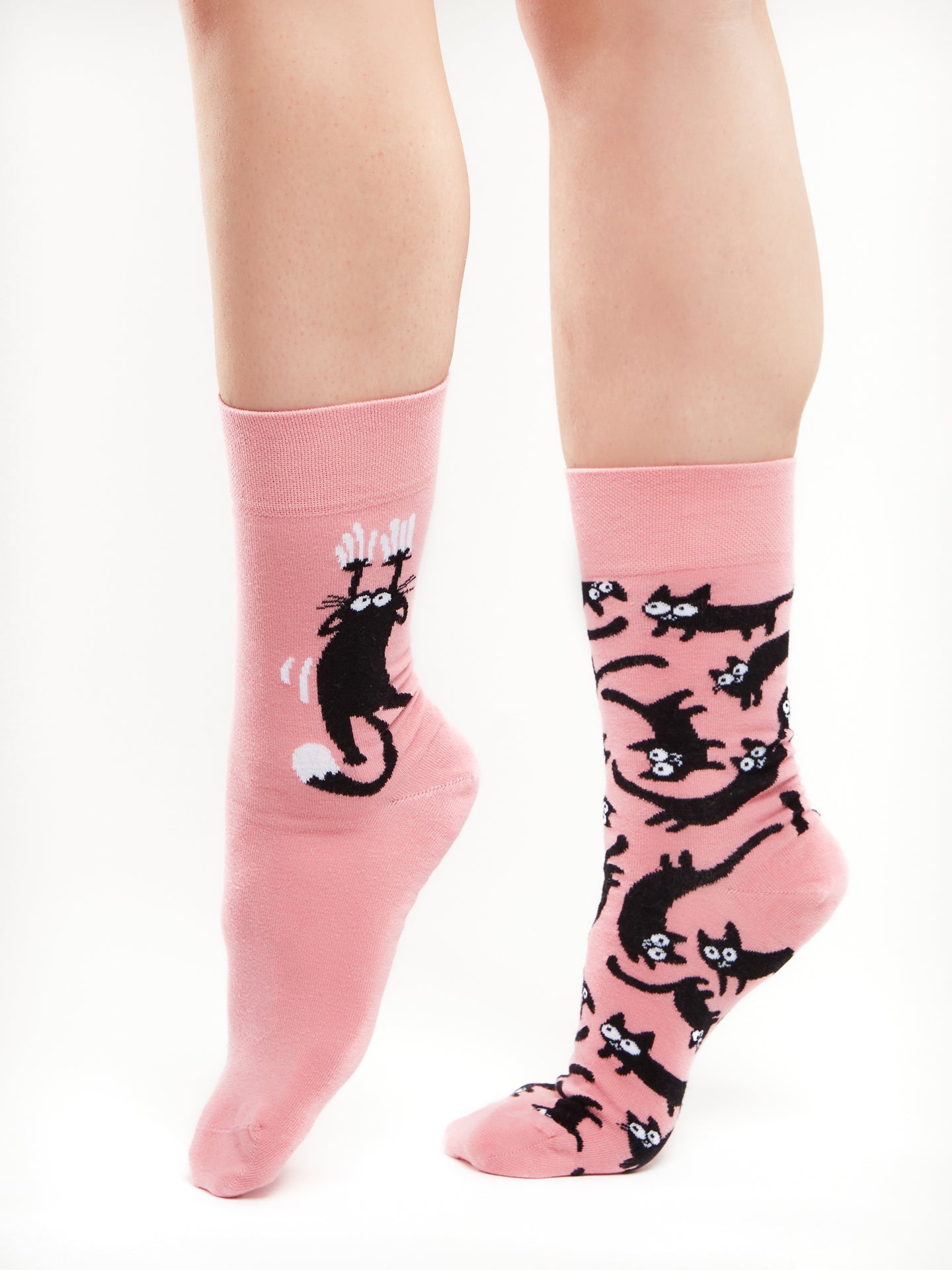 Regular Socks Pink Cats