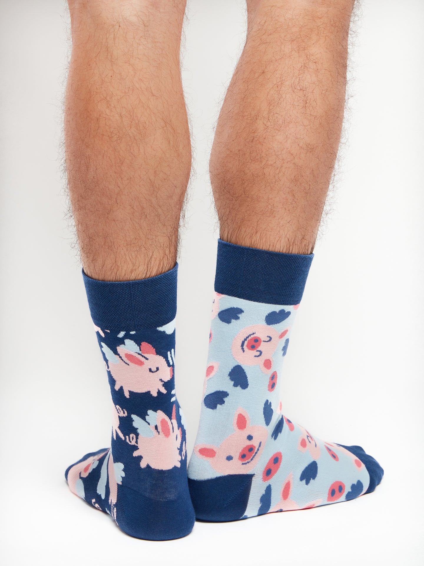 Regular Socks Flying Pigs