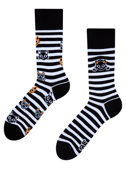 Regular Socks Cats & Stripes