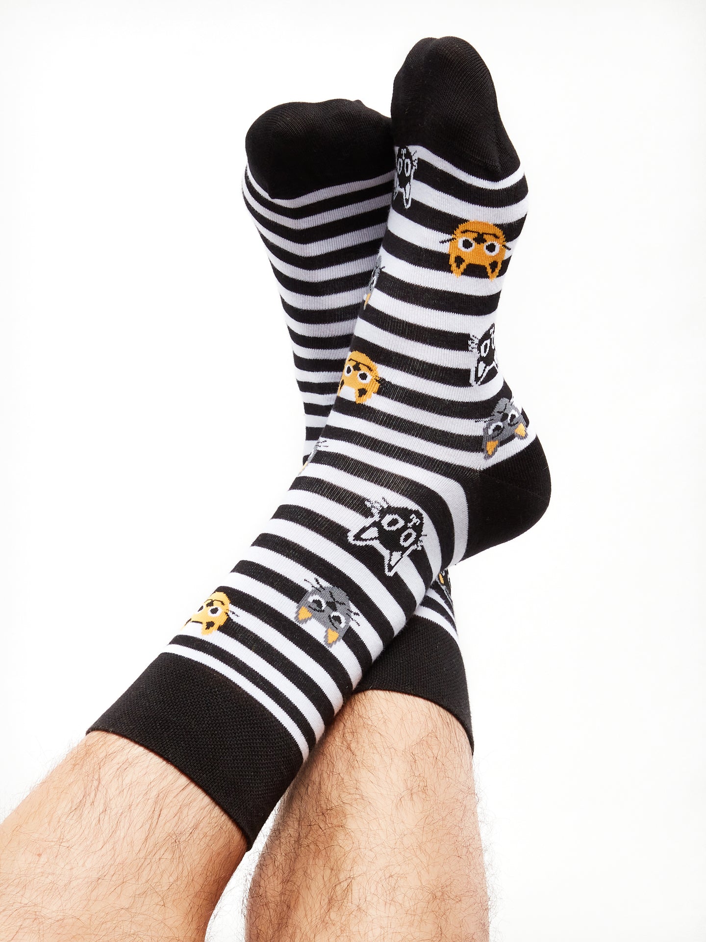 Regular Socks Cats & Stripes