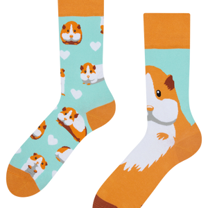 Regular Socks Guinea Pig