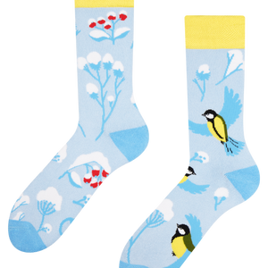 Warm Socks Winter Bird