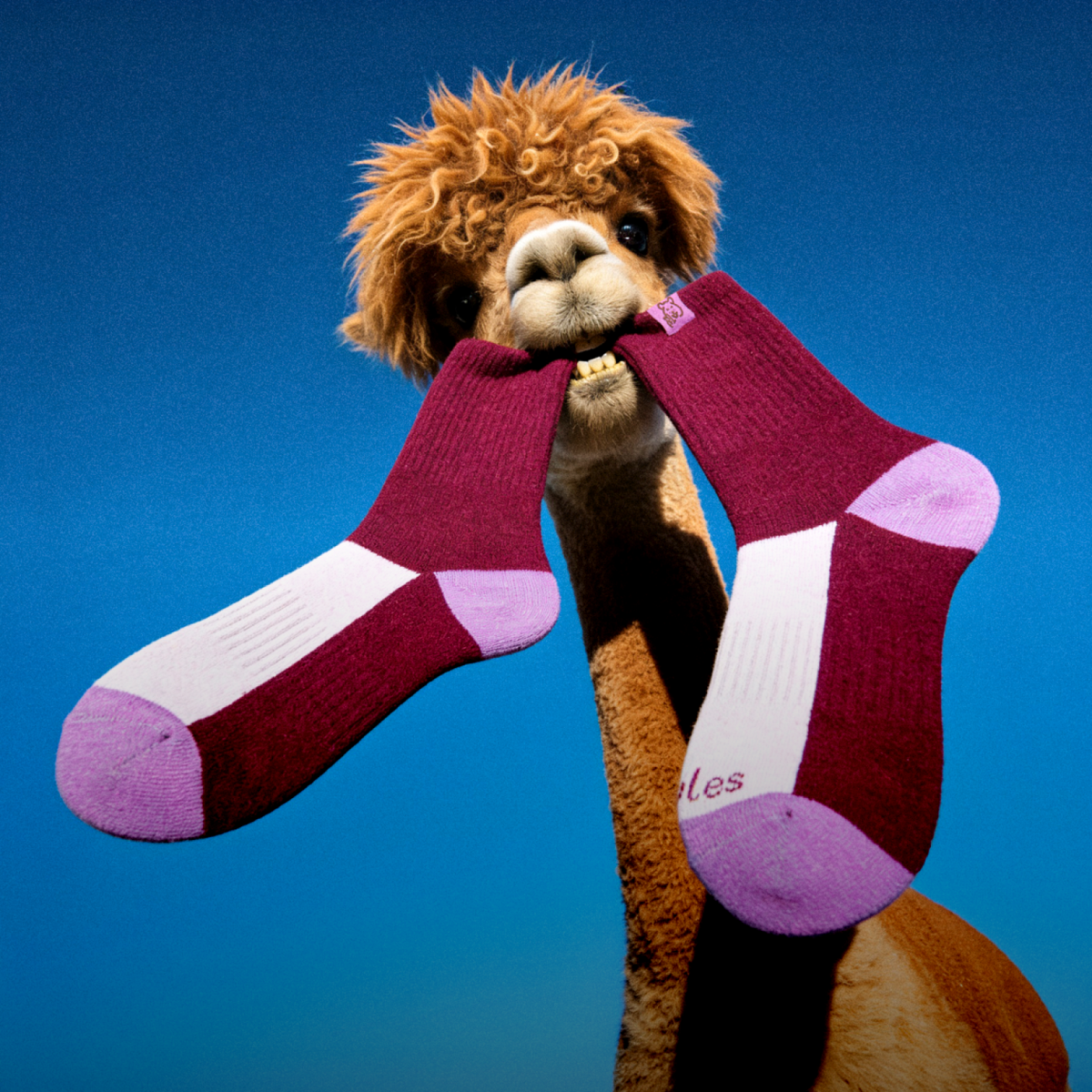 Not all wool is the same