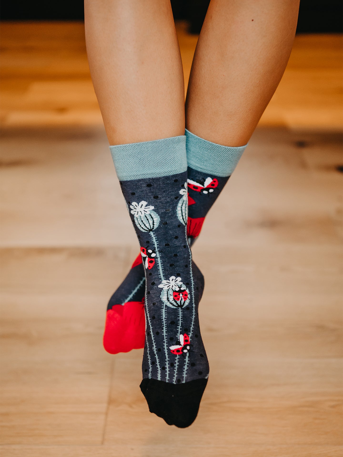 Regular Socks Ladybugs & Poppy Flowers