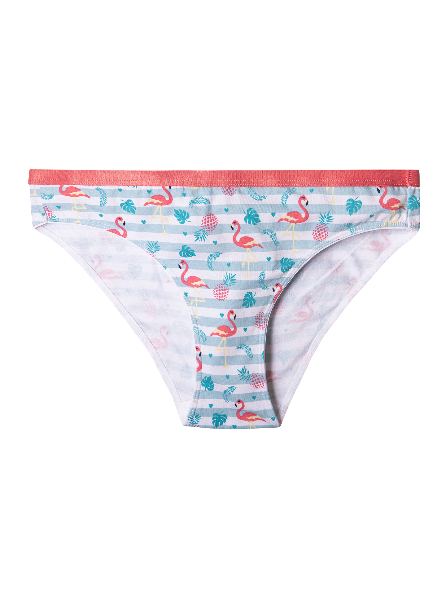 Women's Briefs Love Flamingos