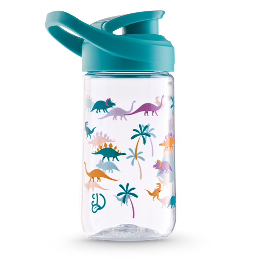 Water Bottle Dinos & Volcanos 470 ml