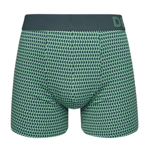 Pastel Green Men's Patterned Trunks