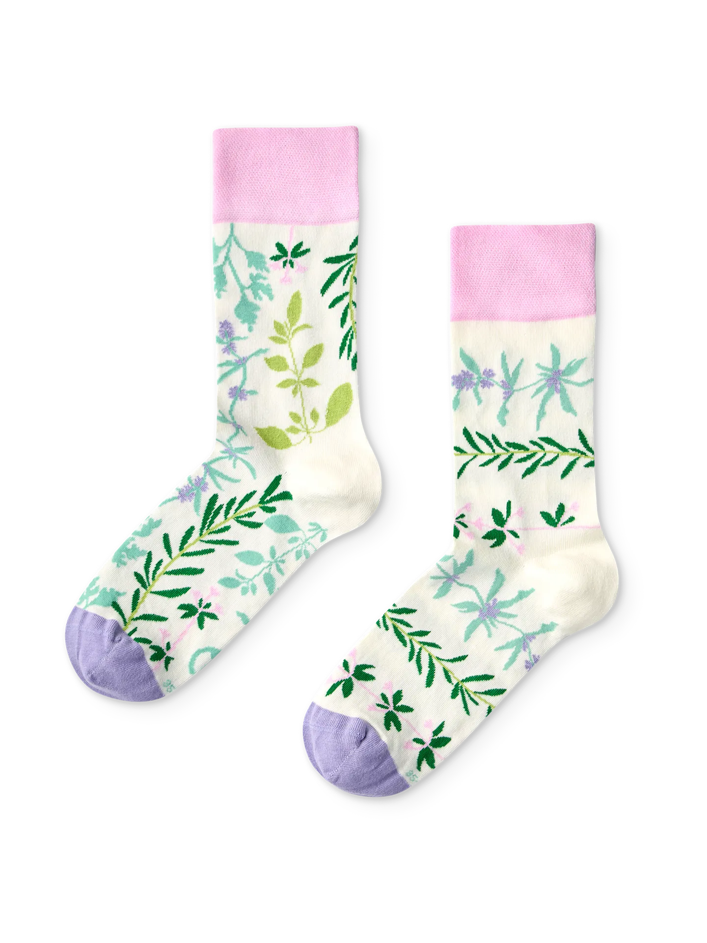regular-socks-garden-herbs-02-99/998bc69cea467f3a59243cb960adaa3dc72341e5