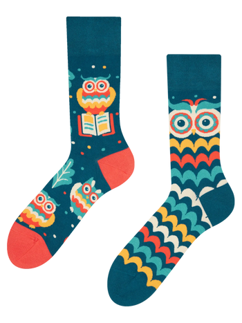 Regular Socks Wise Owl