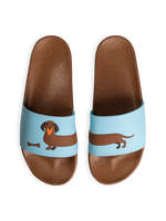 slides-long-dachshund-97/97406276ed20b957a7b678d40266352587850bb3