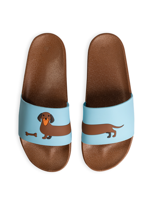 slides-long-dachshund-97/97406276ed20b957a7b678d40266352587850bb3