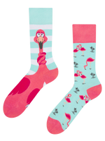 regular-socks-tangled-flamingo-a5/a510cc7b52279791ed84ce4b82a1e8dd4d7d6920
