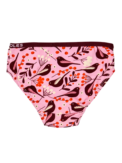 girls-briefs-birds-berries-okt-1d/1d437497be6190bdf111d8613a19386c9e0c3424