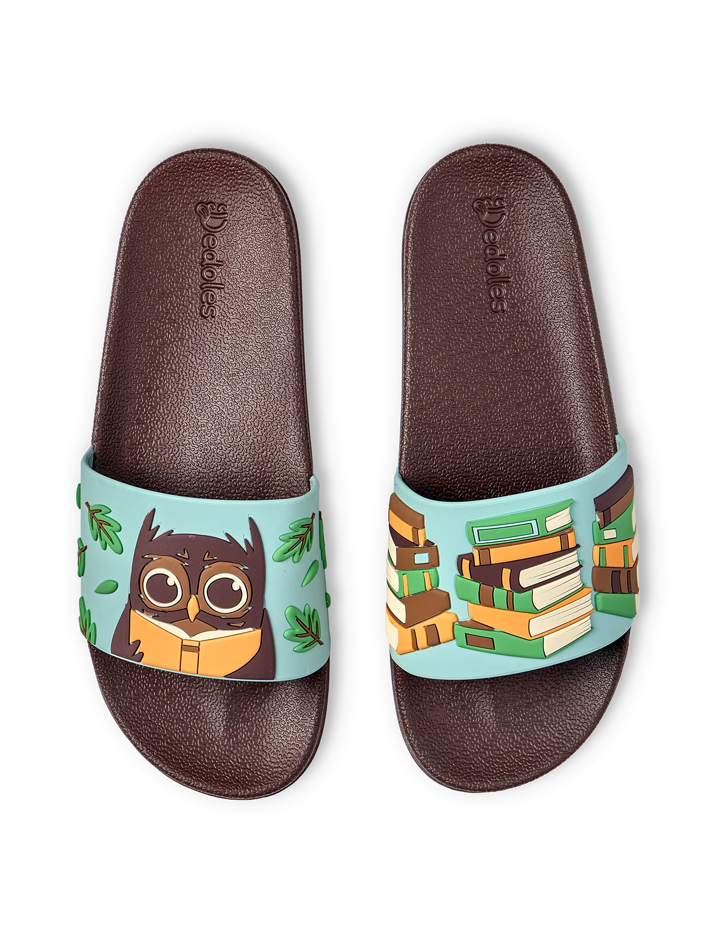 slides-owl-books-a8/a81ebe85b7f1061eb25837923a565751d600bd79
