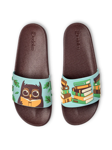 Slides Owl & Books