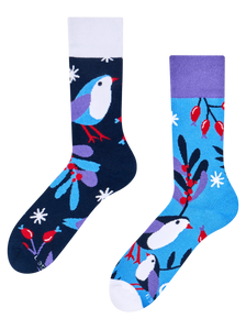 Warm Socks Bird in Winter