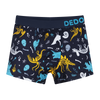 Boys' Boxers Dinosaurs