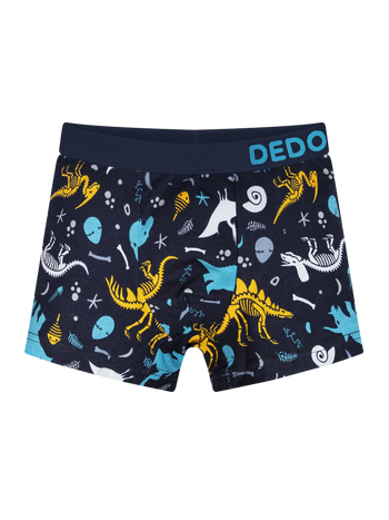 Boys' Boxers Dinosaurs