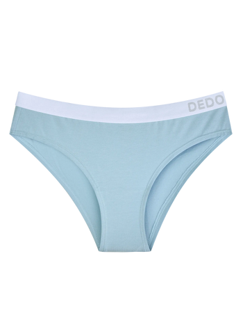 Powder Blue Women's Modal Briefs