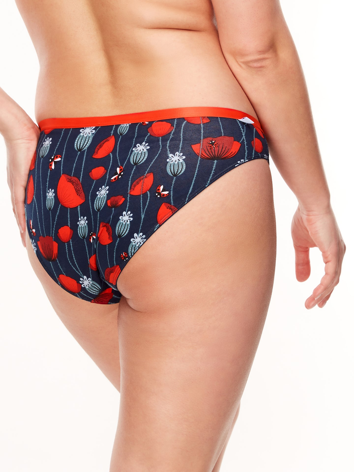 womens-briefs-ladybugs-poppy-flowers-2b/2bfbd55e60200ebf449a9f693c958c2606fda765