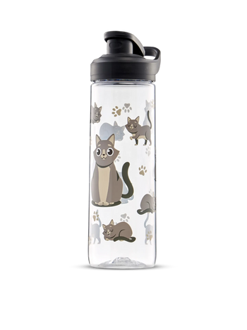 Water Bottle Gray Cat 700ml