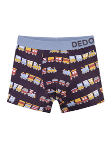 Boys' Boxers Trains