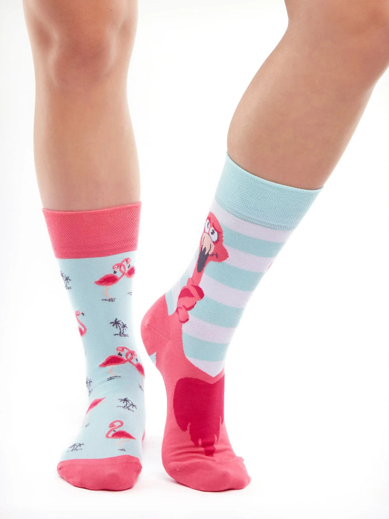 regular-socks-tangled-flamingo-b4/b44e241d38aab4f513549963802407951c27bc2c