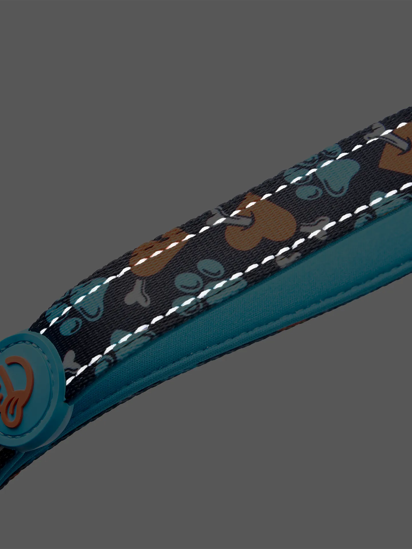 dog-leash-hearts-paws-98/9835cfe61203f0c054a8d4f5137fa4eb243cef52