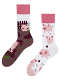 Regular Socks Happy Pigs