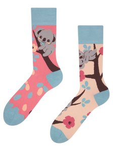 Regular Socks Sleepy Koala