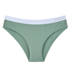 Sage Green Women's Modal Briefs