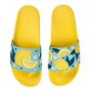 Slides Summer Lemons
