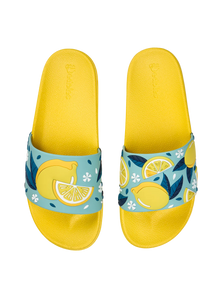 Slides Summer Lemons