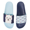 Slides Llama & Clouds