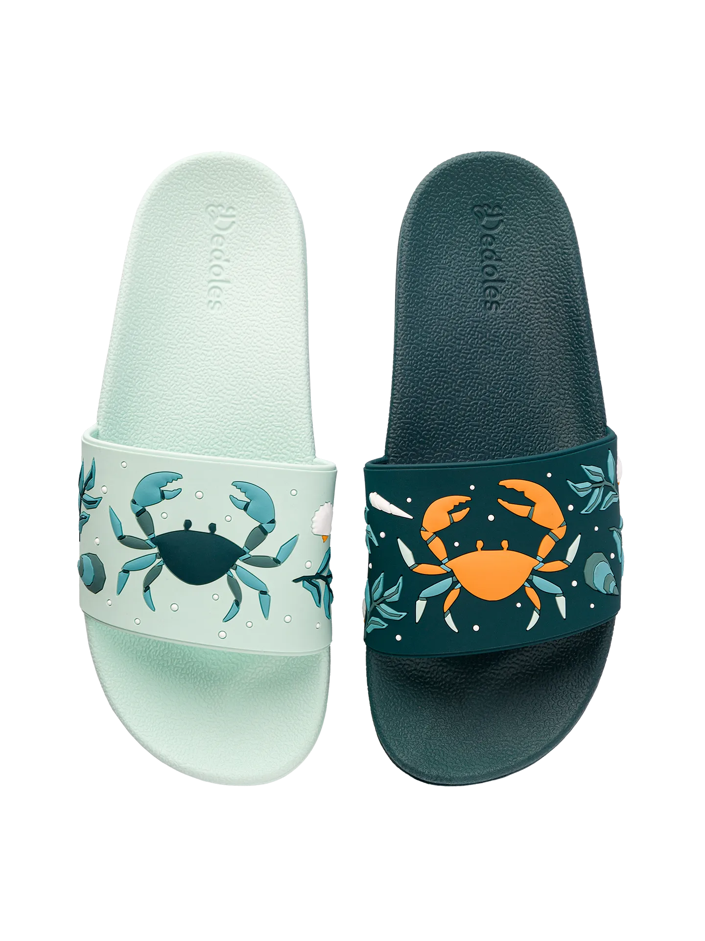 Slides Sea Crab