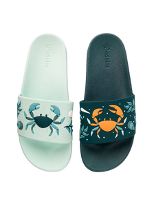 Slides Sea Crab