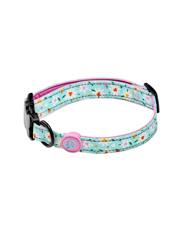 Dog Collar Hearts & Daisies