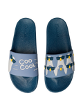 Slides Cool Pigeons