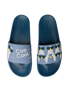 Slides Cool Pigeons