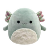 Squishmallows Chasmen the Axolotl with Fluffy Tummy, 30 cm