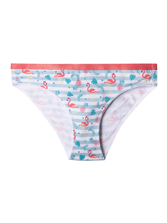 womens-briefs-love-flamingos-f1/f15ee0977a8127b6d22545d2fa3df61c6e11d144