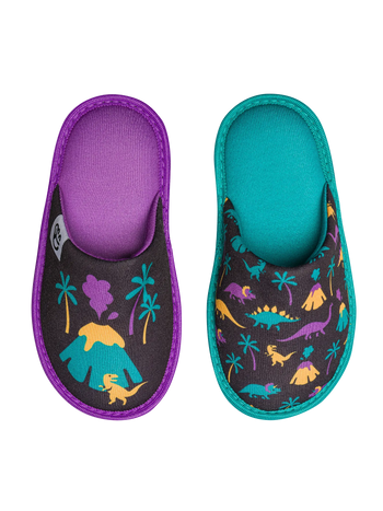 Kids' Slippers Dinos & Volcanos
