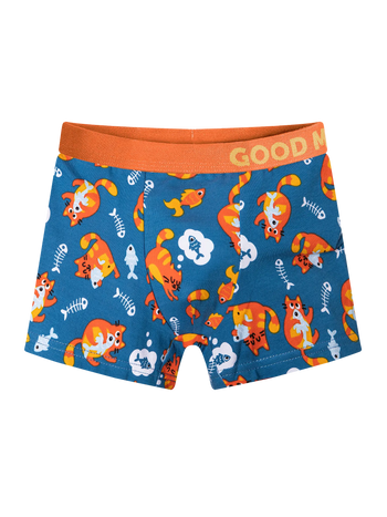 Boys' Boxers Cats & Fish