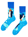 warm-socks-skating-penguins-c8/c8857e5eddd93009687f2fff80c12cfc0d0fe1e5