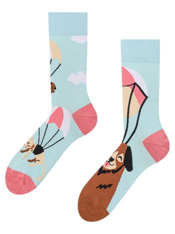 Regular Socks Flying Cats & Dogs