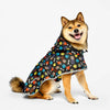 Dog Raincoat Hearts & Paws