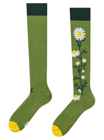 Knee High Socks Chamomile Tea