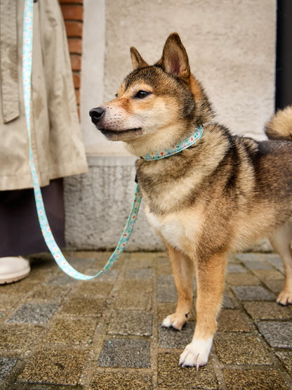 dog-collar-hearts-daisies-7d/7dd1fc943ddf3d09518be41954d5ee9e9af54362